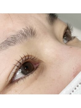 レジアント(Rediant)/カールデザイン