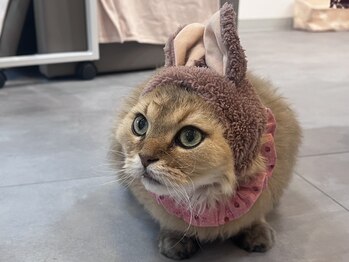 ルダリドゥー 東銀座店(Le Dali Deux)/ピエールさん