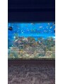 ベル 岩国店&nbsp;旅行で沖縄の水族館に行きました