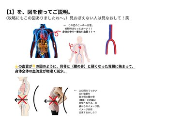 ビーエムビー(BMB)/胃腸の動きを良くする→痩せる