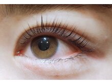 アポロランド ルーナ/ラッシュリフト