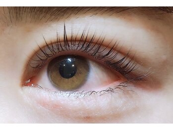 アポロランド ルーナ/ラッシュリフト