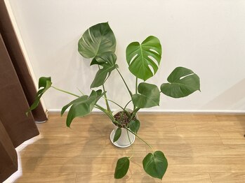 篠ノ井まる鍼灸院 整骨院/【お店の雰囲気】