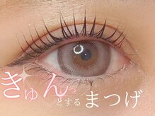 プラチナムドール 福岡警固店(PLATINUMDOLL)/きゅんとするまつ毛