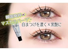 ティーズラッシュ アンド ブロウ ケービューティー 新浦安(T's Lush & Brow K-beauty)