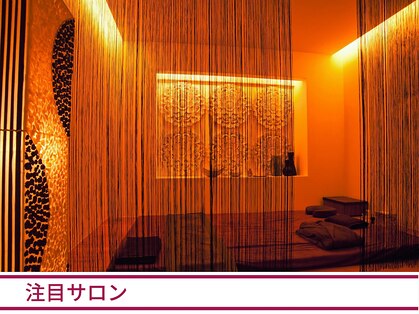 リーズ(RIES)の写真