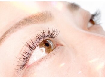 ループ(LOOP)/フラットラッシュ160本