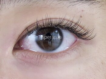 エスペランサ(esperanza)/【本数別イメージ】両目160本