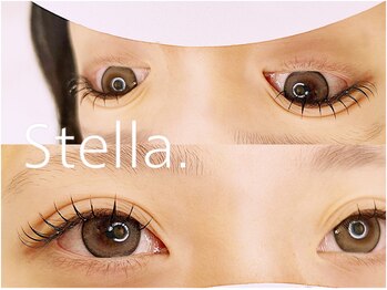 ステラ(Stella.)/フラットラッシュ100本