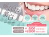 【12月限定】歯科提携★白さ実感特別SALE★4回セットがお得に◎