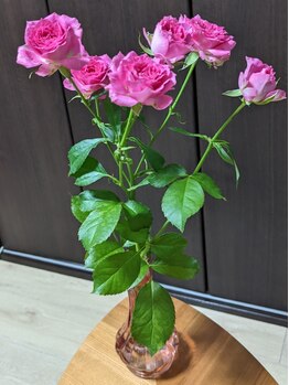 ブレッシングス(BLESSINGS)/お花で