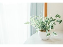 凛/ご自身を大切に