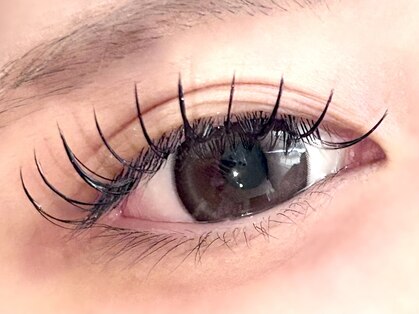 ティエ(tie.)の写真