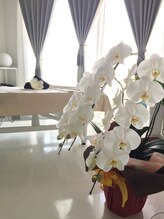 カオカラ(KaoCara) 加藤 