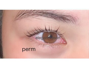 トータルビューティーサロン エレガントリゾート/まつげパーマ(カール)