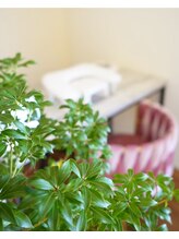 オメカシ アイラッシュアンドアイブロウ(Omekashi eyelash&eyebrow)/ネイルスペース