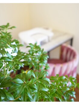 ネイルスペース