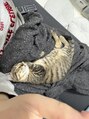 リディーブ 二子玉川(Ridive) 愛猫のLateです♪