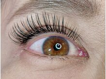 レミア 関内(REMIA)/８月　フラットラッシュ