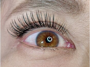 レミア 関内(REMIA)/８月　フラットラッシュ