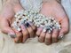 ベルネイル(Belle Nail)の写真/雑誌画像の持ち込みOK！アート好きの方はやり放題がお得！長さ出しもOK！お好きなデザインをご相談♪