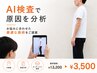残り7名限定◆AI検査｜お悩み別オーダーメイド整体 ¥13,200→¥3,500