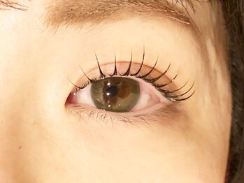 リファイン(Refine)/