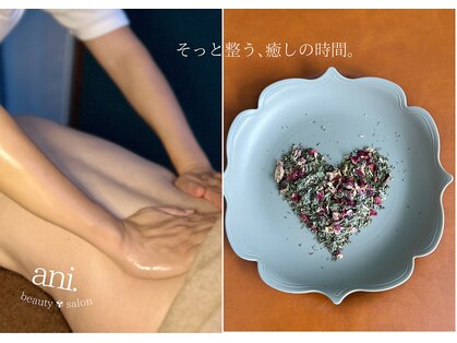 アニドット(ani.)の写真