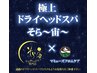先着来店10名!平日限定【新店お祝いクーポン】ドライヘッドスパ60min ¥5440