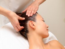 グレース 札幌中央店(GRACE BEAUTY SALON)/ お肌を育てる幹細胞美容