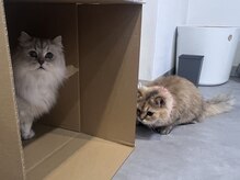 ルダリドゥー 東銀座店(Le Dali Deux)/ぴょんさんandピエールさん