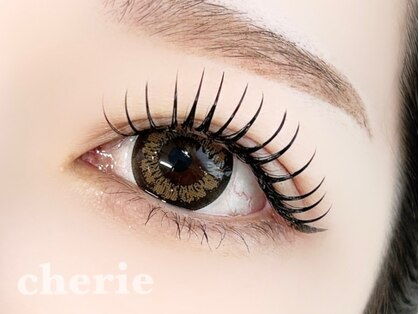 シェリー(cherie)の写真