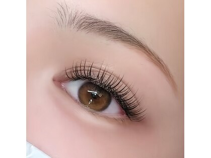 リリー(Lily)の写真