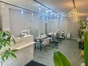 ビーツリー 世田谷店(B+TREE produced by INFINEEZ)/広々とした店内