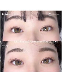 スウィートアイズ(Sweet eyes)/LEDフラットラッシュ60本