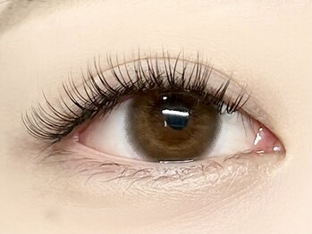 パキラ(Pachira)/【濃】ふんわりボリューム♪