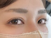 ティーツリー(tea tree)/