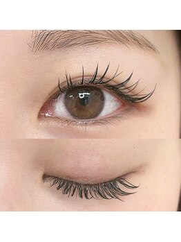 アレアラッシュ 銀座(alea lush)/フラットラッシュ　140本