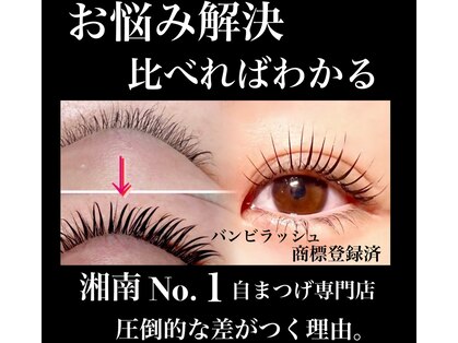 バンビちゃんのお目目 熊本店の写真