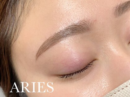 アリエス(ARIES)の写真