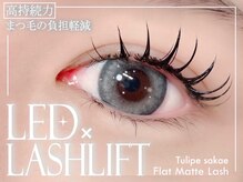 チュリップサカエ(Tulipe sakae)