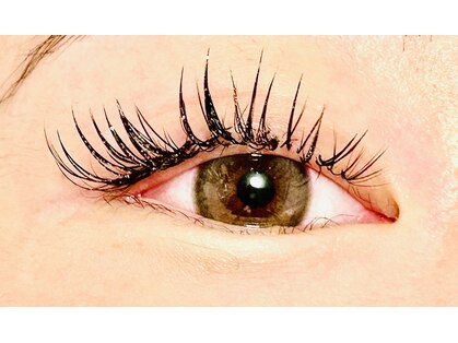 エメ(Aimer)の写真