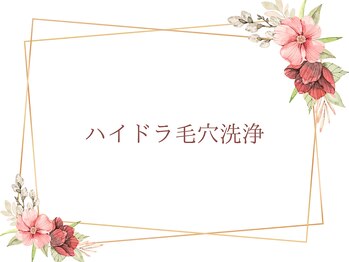 サラ/ハイドラ毛穴洗浄