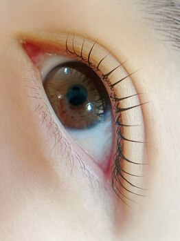 ラピス 川越店(Lapis)/ラッシュリフトorまつ毛パーマ