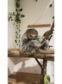 スタジオティーティー 綱島店(STUDIO TT) ナマケモノが好きです!動物園もよく行きます!