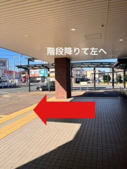 ミント/階段降りたら左へ　道なりに