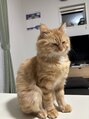 ロレインブロウ 横浜関内店&nbsp;動物が好きで特に猫が好きです！