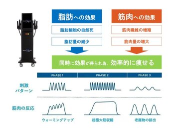 パルフェ ラッシュ 勝どき(Parfait Lash)/腹筋・お尻マシン