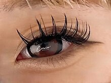 クレヴィア(crevia)/LDカールフラットラッシュ160本