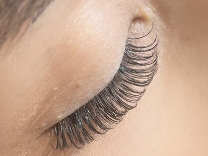 コキーユ(Coquille)の写真